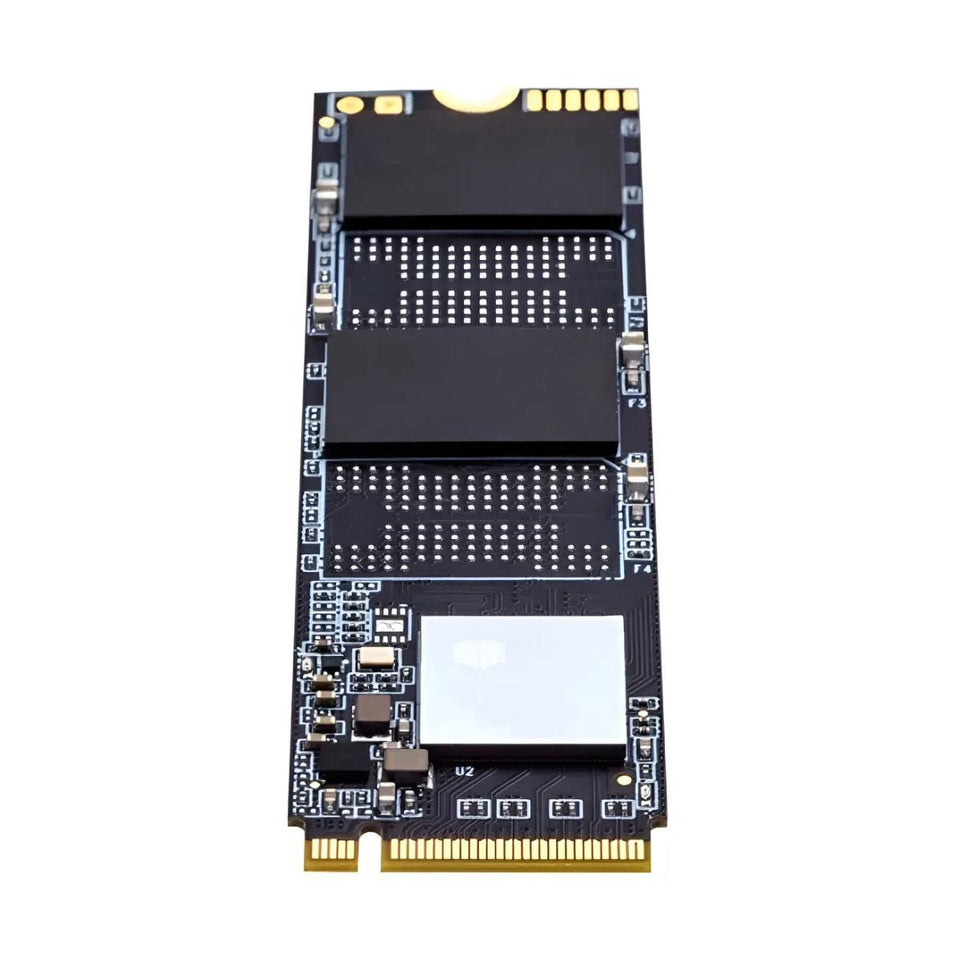 SSD 256GB Warrior M.2 2280 NVMe PCIe